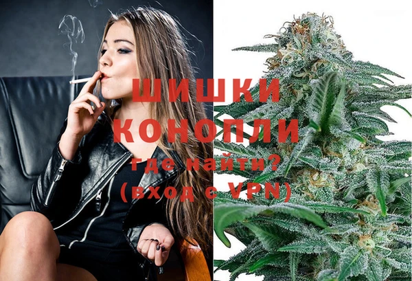 индика Арсеньев