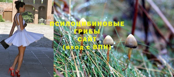 индика Арсеньев