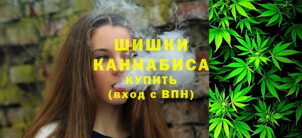 прущие грибы Балахна