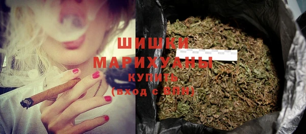 индика Арсеньев