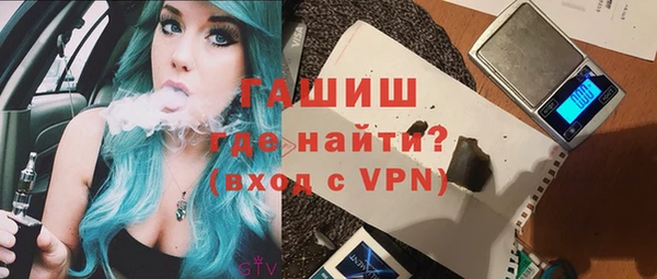индика Арсеньев