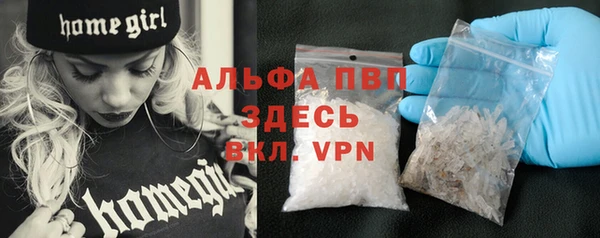 индика Арсеньев