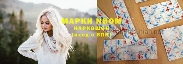 прущие грибы Балахна