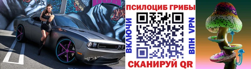hydra зеркало  Спасск-Дальний  Галлюциногенные грибы Psilocybe  закладка 