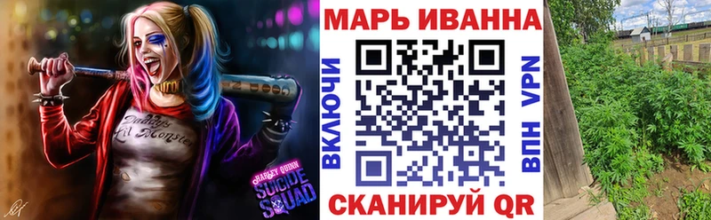 купить наркотик  Спасск-Дальний  Каннабис план 